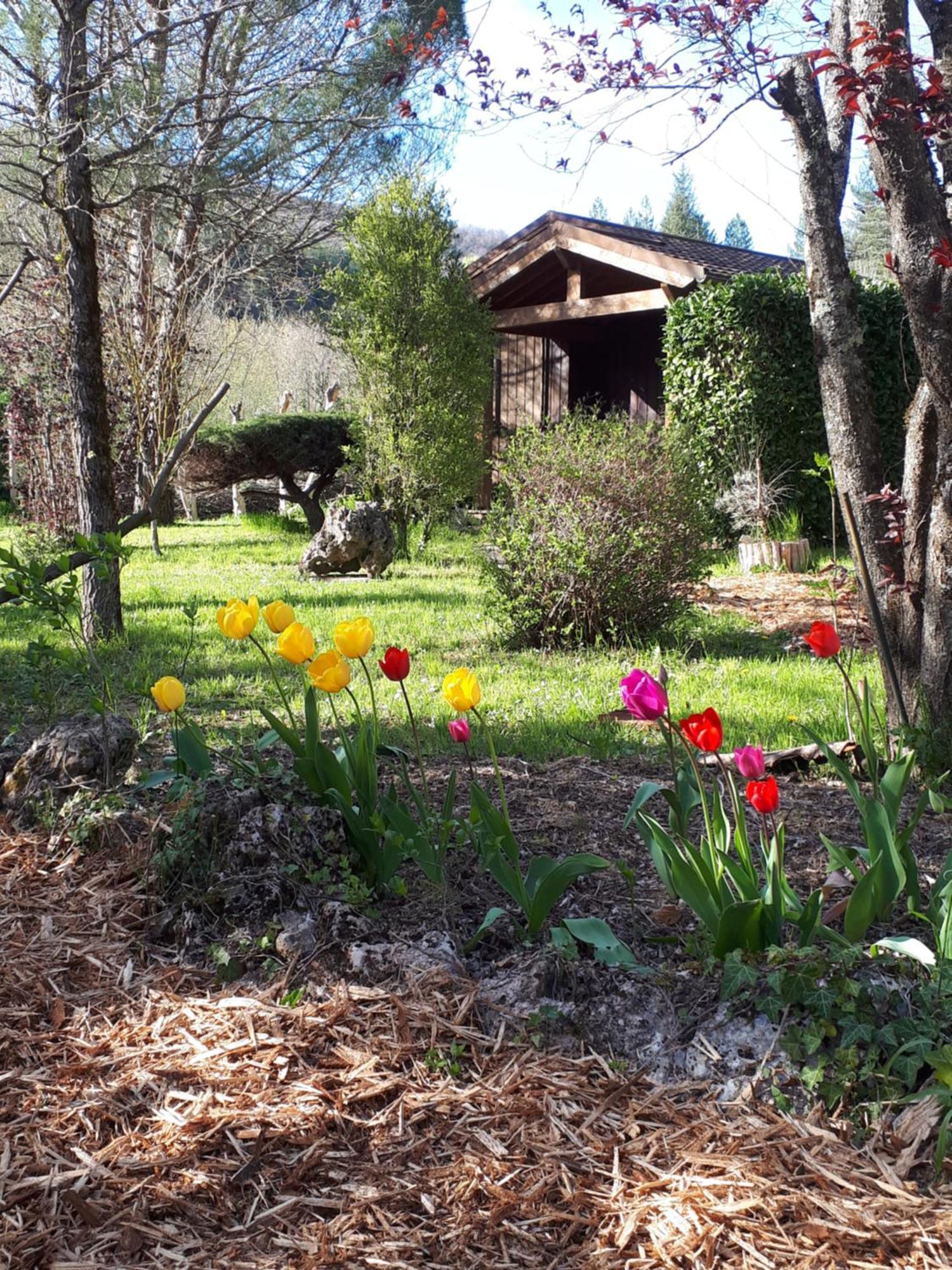 Les Chalets Du Roc Alzon Exterior foto